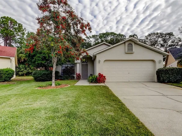 8727 Huntfield St, Tampa, FL 33635