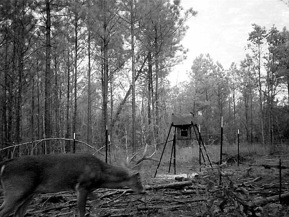 5th image of 18825 Fm-729