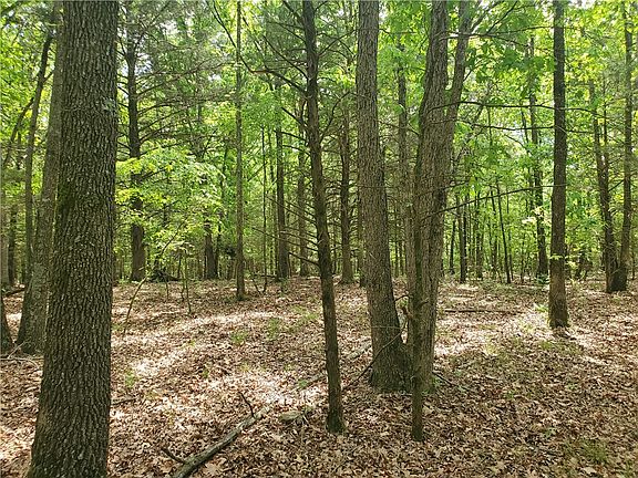 4th image of 582 Hale Rd #6