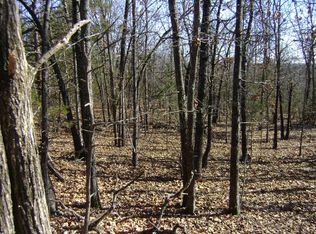 Venture Ln, Ash Flat, AR 72513