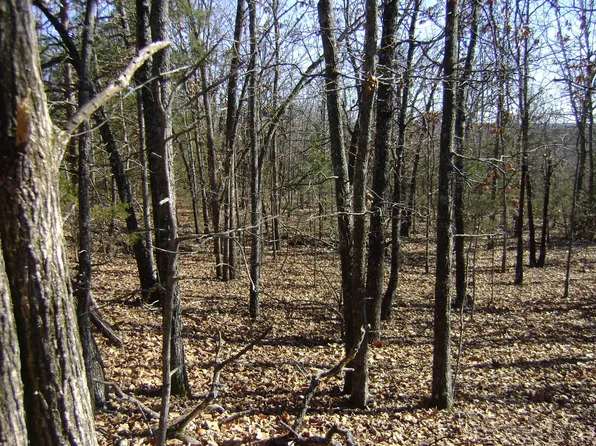 Venture Ln, Ash Flat, AR 72513