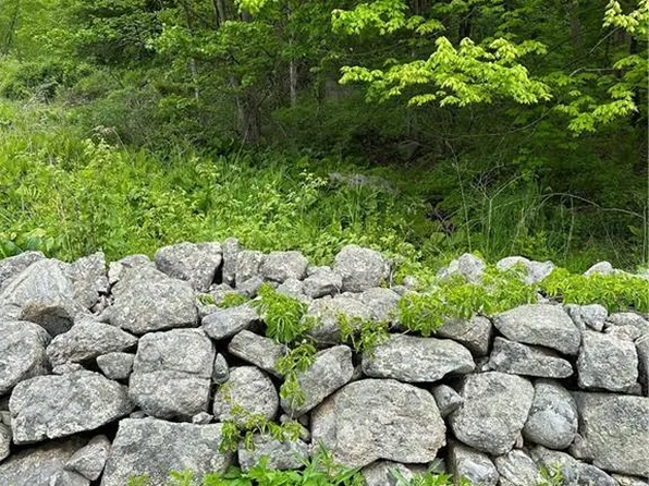 0 Nonnewaug Road, Bethlehem, CT 06751