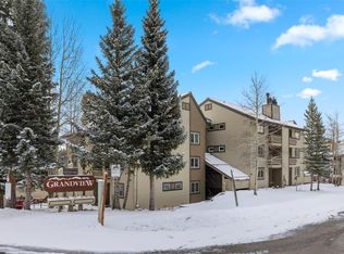 1001 Grandview Dr #16, Breckenridge, CO 80424