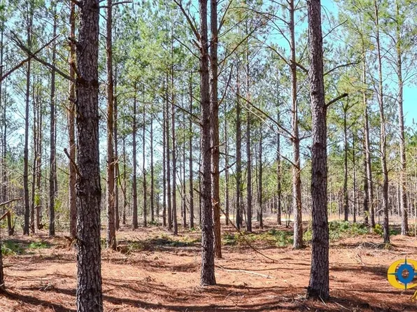 Hickory Head Rd, Westville, SC 29175