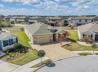 31364 Tansy Bnd, Wesley Chapel, FL 33545