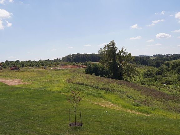Elevation Image 1.