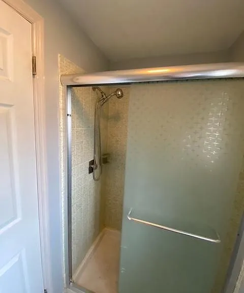 Master Bathroom Shower