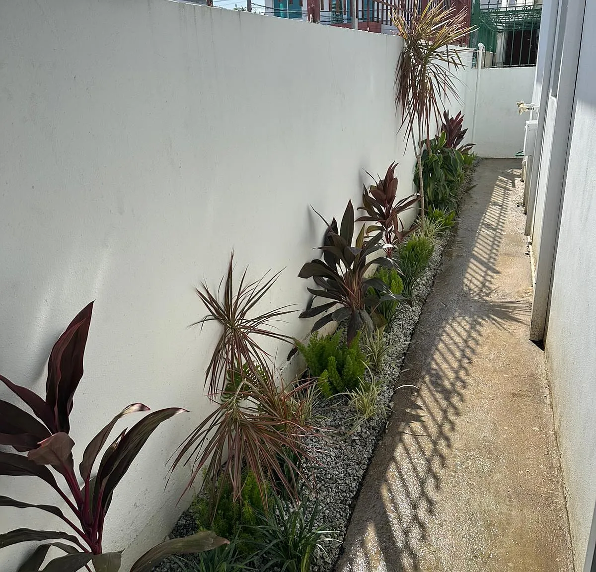 3 bed, $1,800 — Photo 4