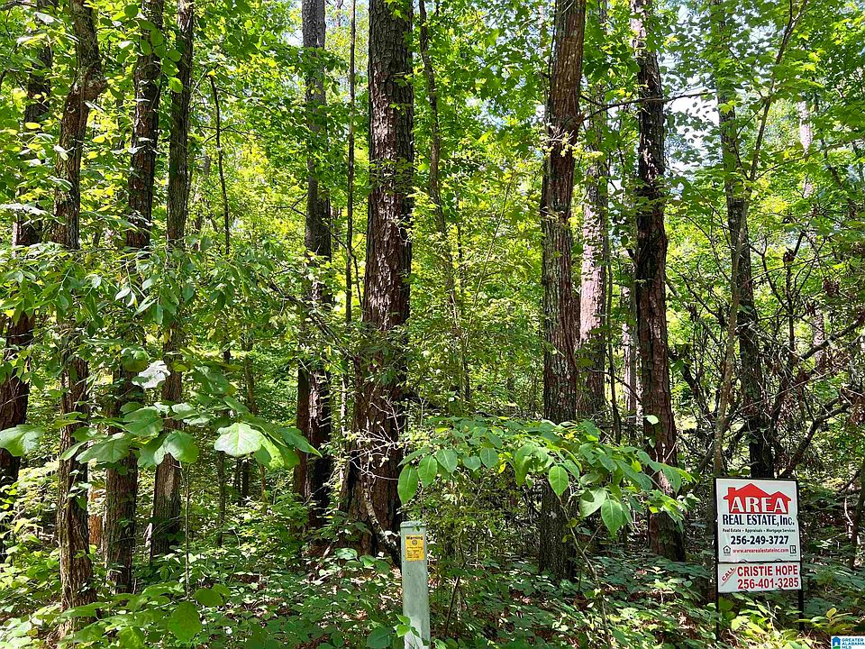 2nd image of 13 Shell Ln #1