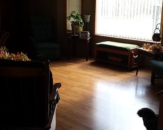 main level living room