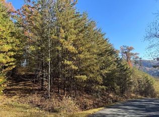 86 Bear Track Way, Del Rio, TN 37727