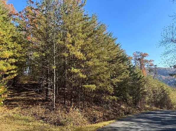 86 Bear Track Way, Del Rio, TN 37727