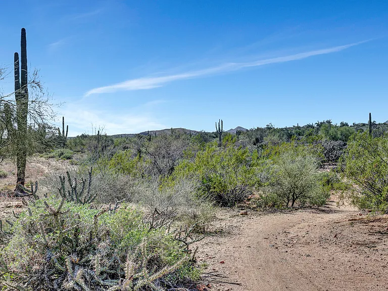 26002 N Agave Rd — Photo 51