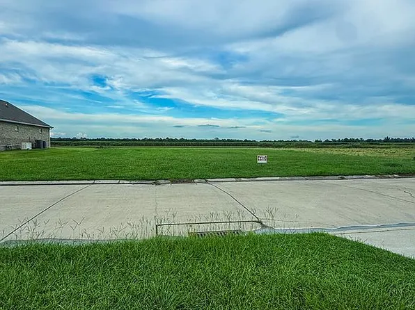 2340 E Bellevue Lakes Dr, Paulina, LA 70763