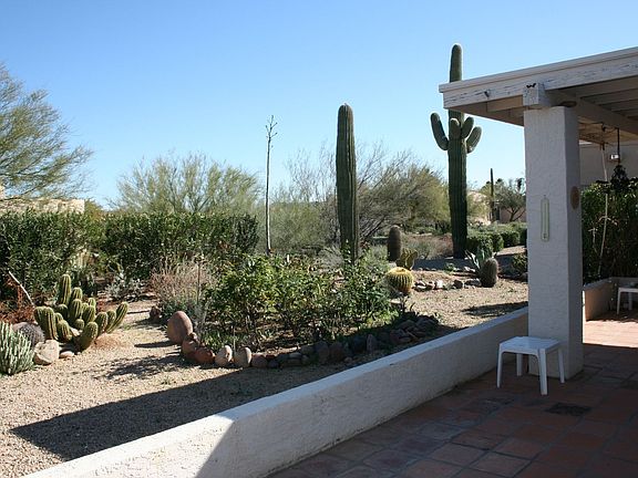 View from Rear Patio