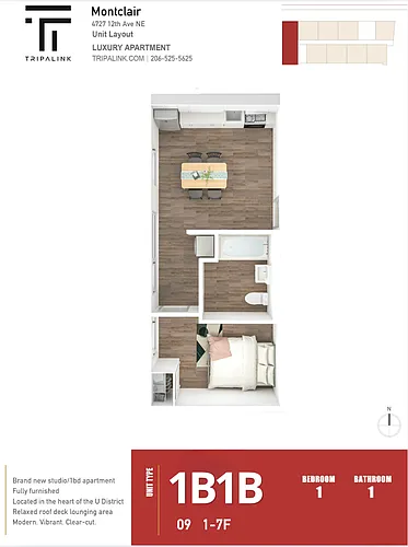 Floor plan 1 Bed 1 Bath - 343 sqft
