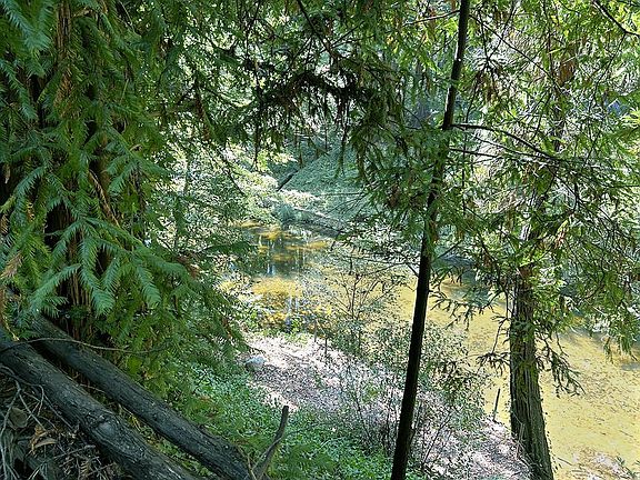 2nd image of 11085 Riverside Rd