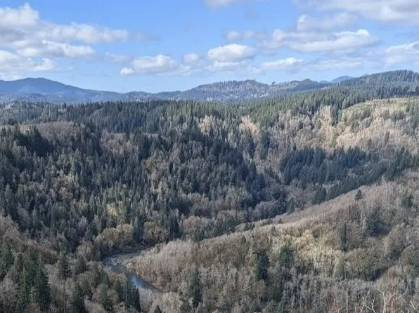 Shanemah Rd, Seaside, OR 97138