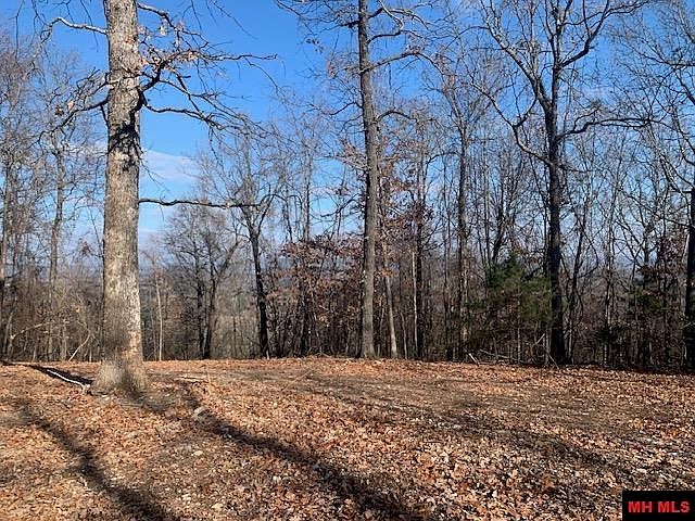 1st image of 001-04716-000 Blueberry Ln