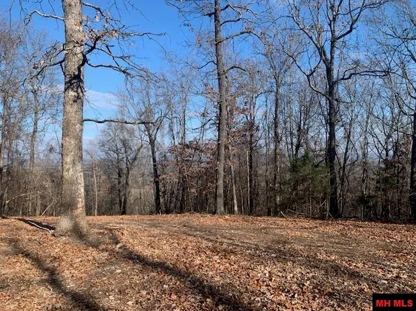 001-04716-000 Blueberry Ln, Yellville, AR 72687