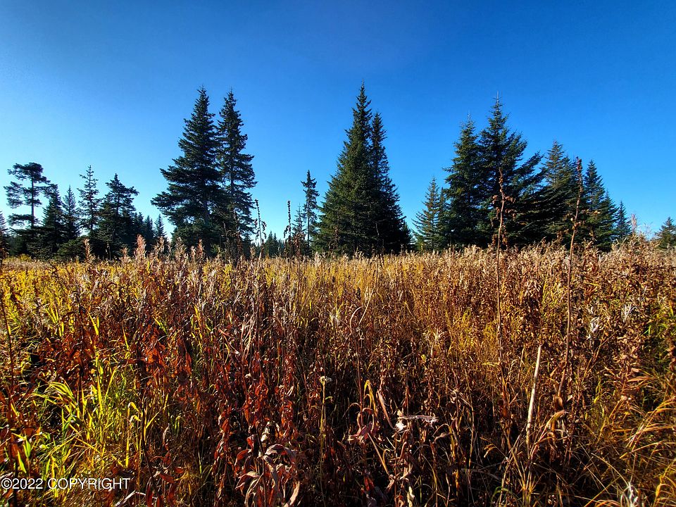 2nd image of 67698 Shavila Rd