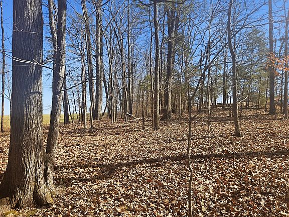 2nd image of 0 Buckeye Rd
