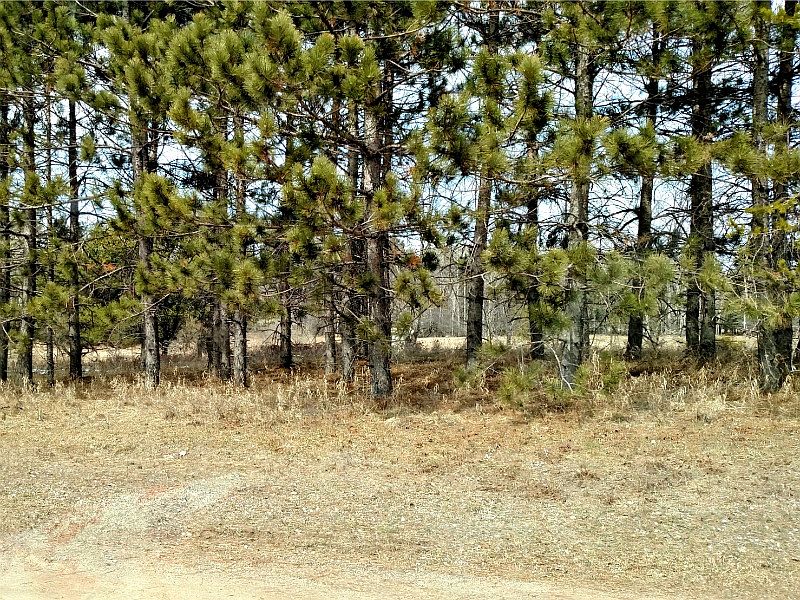 2nd image of Moon Lake Dr Lot 3