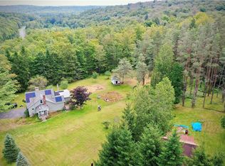 669 Shandelee Rd, Livingston Manor, NY 12758