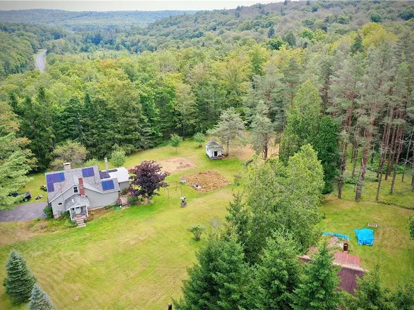 669 Shandelee Rd, Livingston Manor, NY 12758