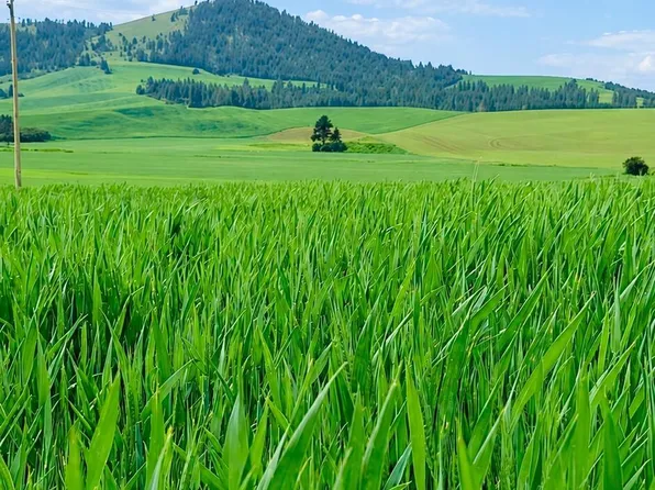 LOT-783D Old Mills Rd, Desmet, ID 83824