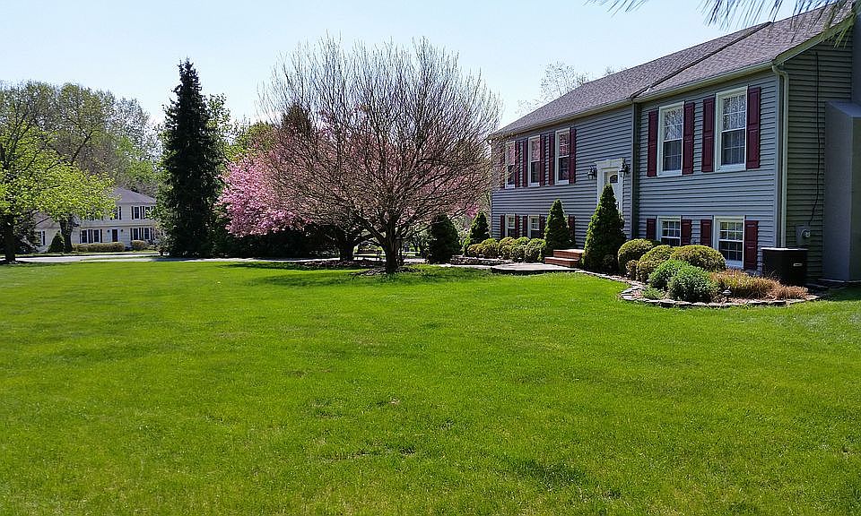 Front Springtime view