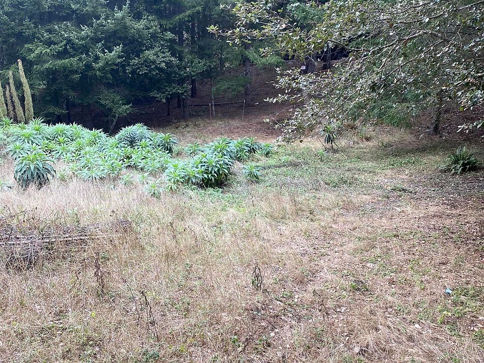 2nd image of 49 Beach Rd