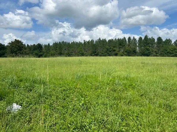 303 Friendship Rd, Carson, MS 39427