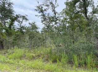 11455 Old Squaw Ave, Weeki Wachee, FL 34614