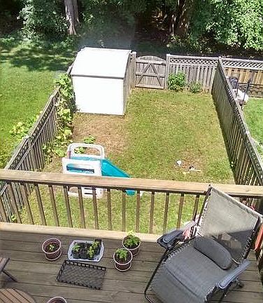 Deck and Backyard