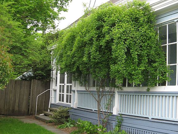 Side yard with glass porch and lovely landscaping