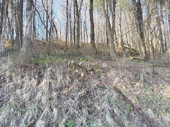 2nd image of Old King Rd