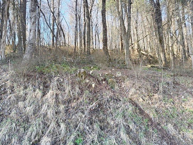 2nd image of Old King Rd