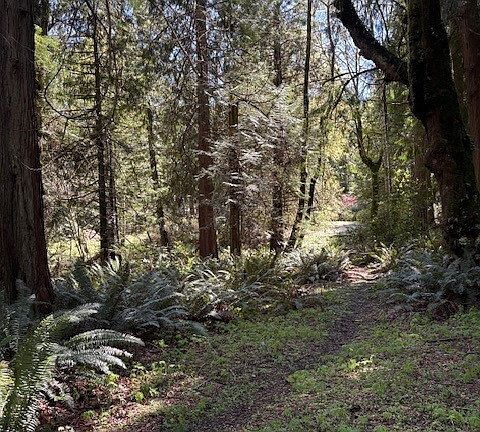5th image of 16230 Agate Pass Road LOT B