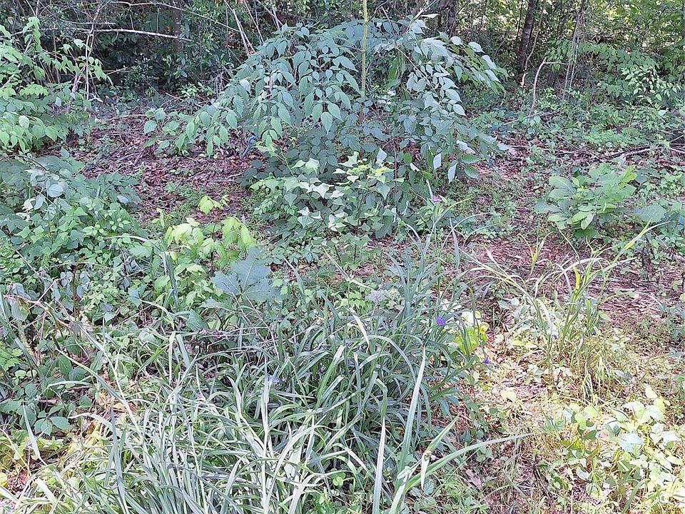 1st image of 0 Woodland Lake Dr Lot 49