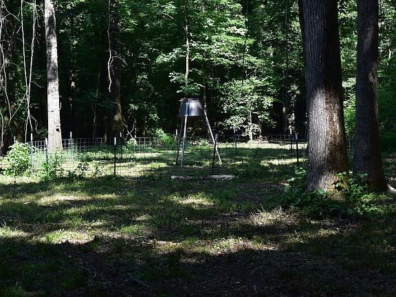 Dsc 0068