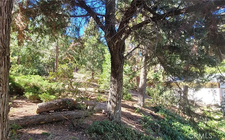 1317 Pinetree Dr — Photo 70