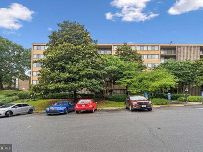 16 S Van Dorn St APT 503, Alexandria, VA, 22304