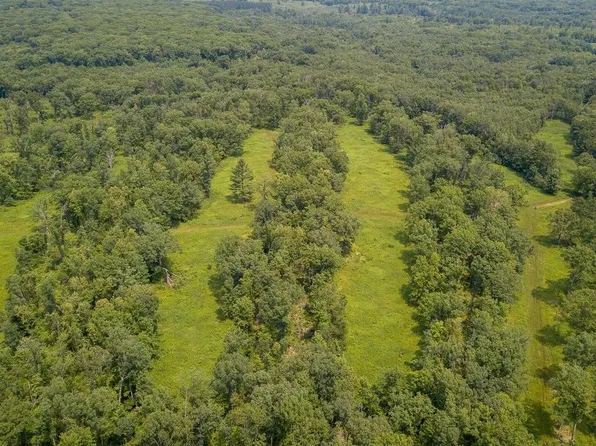 0 DICKERSON AVENUE, Willard, WI 54493