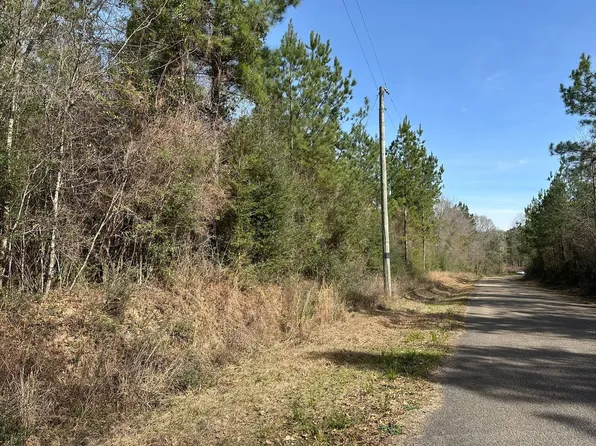 0 Pump Branch Rd, Wiggins, MS 39577