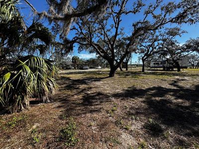 306 SW 911th St, Steinhatchee, FL, 32359