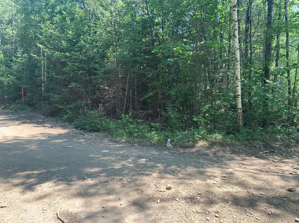 0 Bartlett Bog Road, Springfield, ME 04487