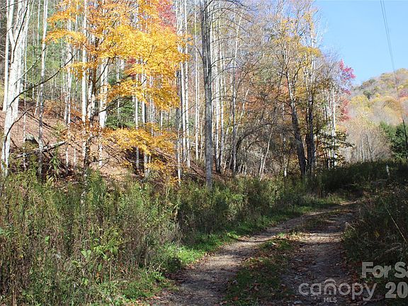 5th image of 44 Toms Creek Rd