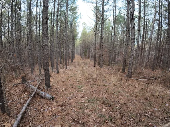 240 Brookstone Dr Lot 211, Linden, TN 37096