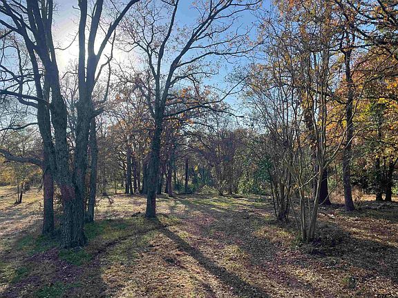 3rd image of 12190 County Road 2128